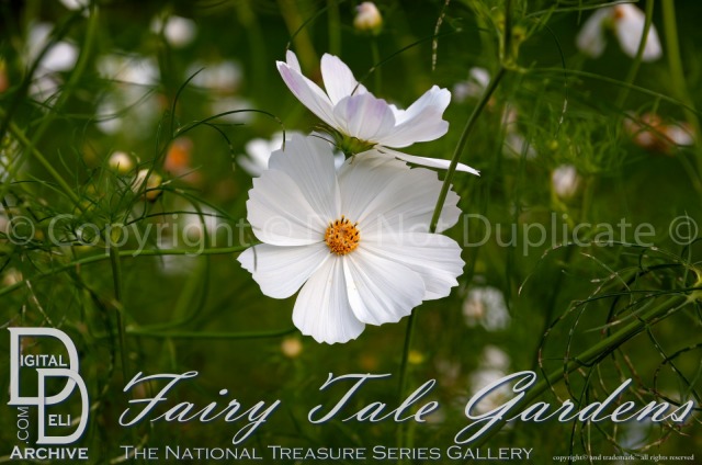 Fairy Tale<br>Gardens 